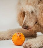Geo-Ball Treat Dispenser Toy - Image 3
