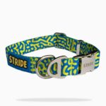 Adventure Dog Collar - Blue