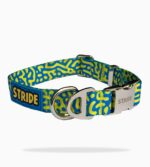 Adventure Dog Collar - Blue