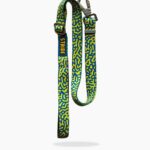 Adventure Dog Lead - Blue