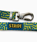 Adventure Dog Lead - Blue - Image 2