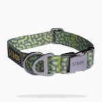 Adventure Dog Collar - Grey
