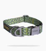Adventure Dog Collar - Grey